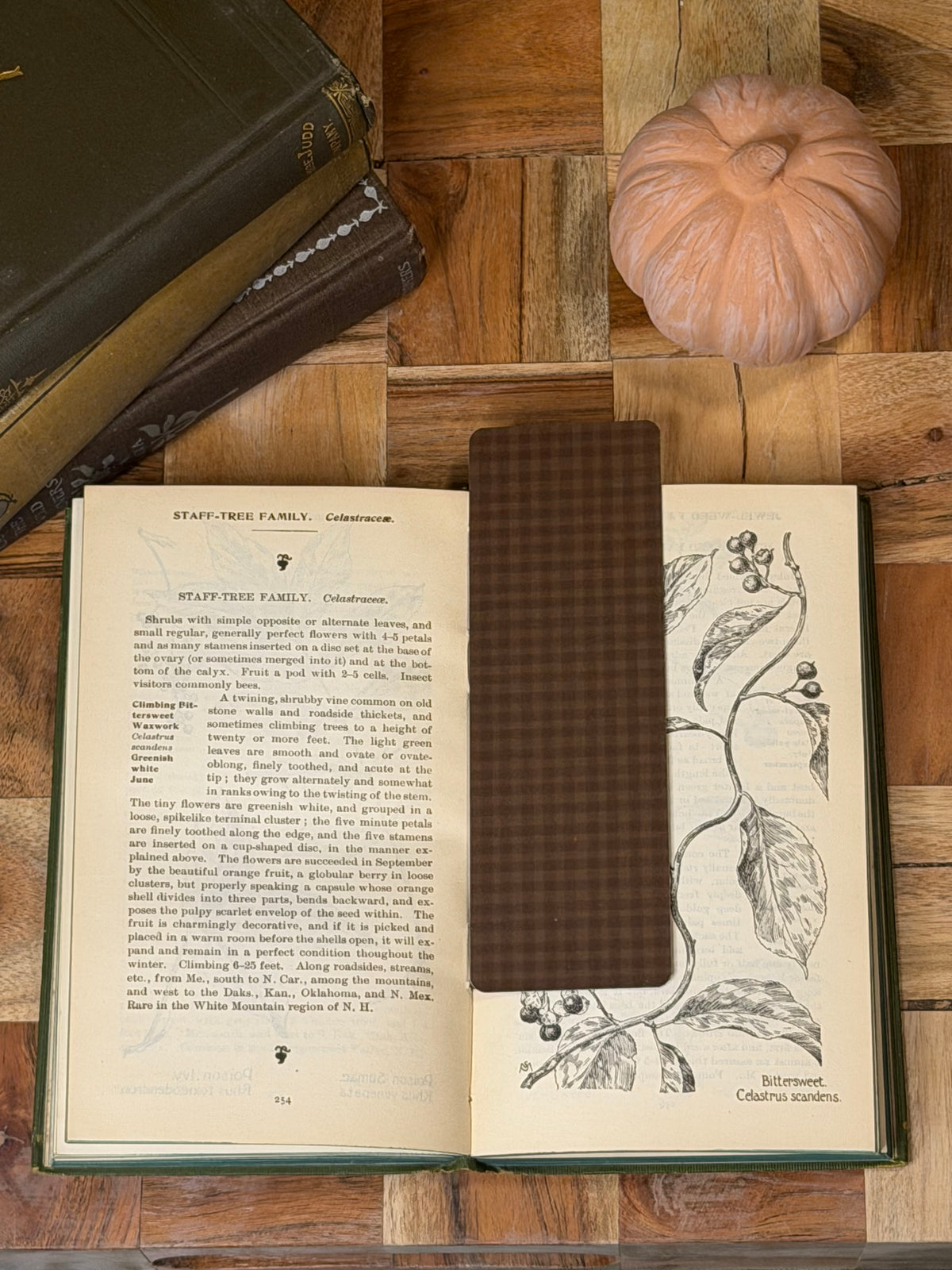 Brown Gingham Bookmark