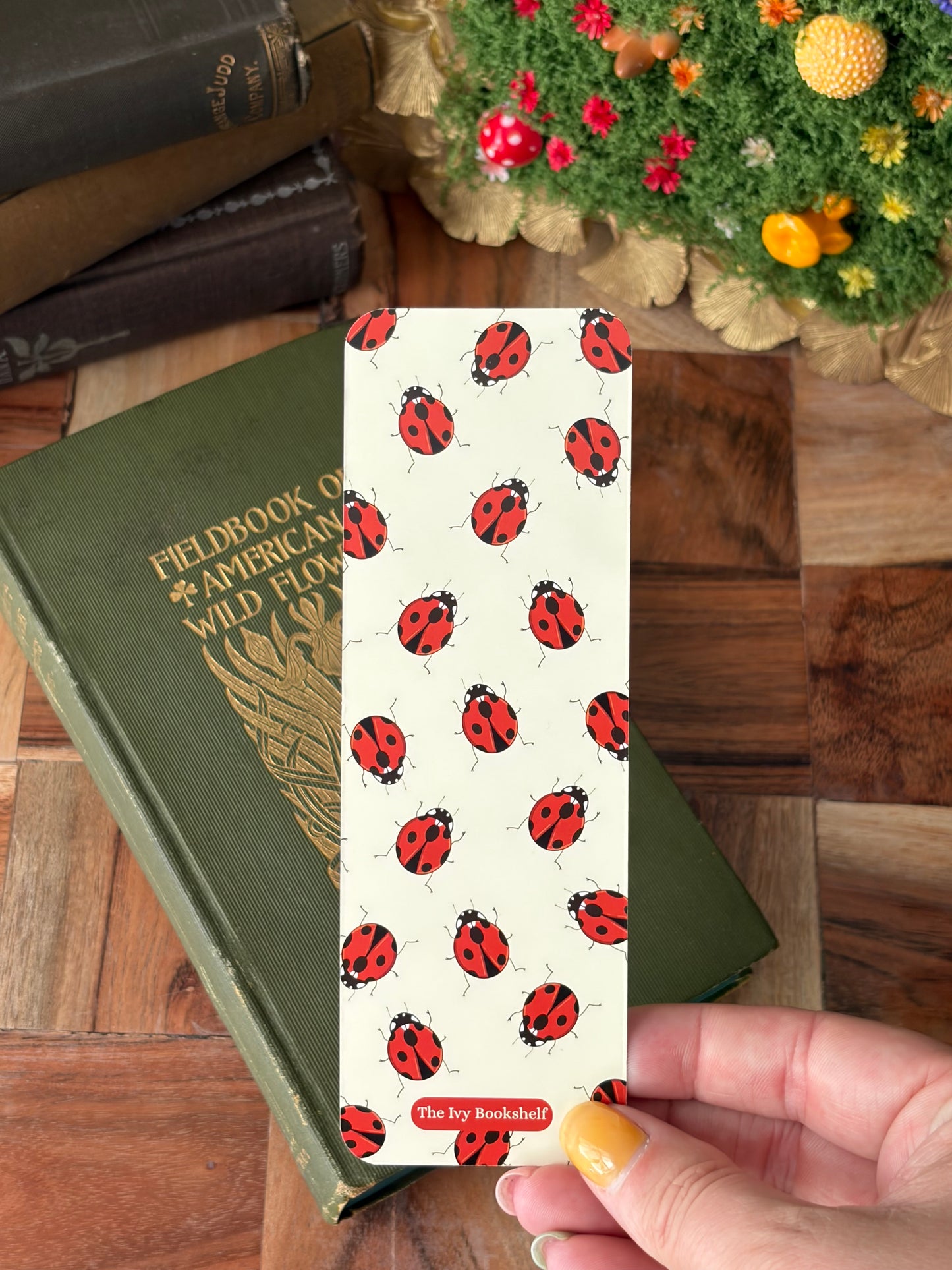 See the Bugs Bookmark