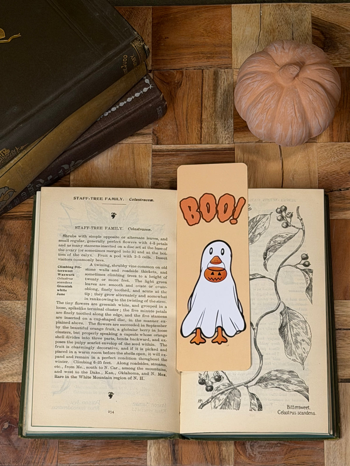 Boo! Bookmark