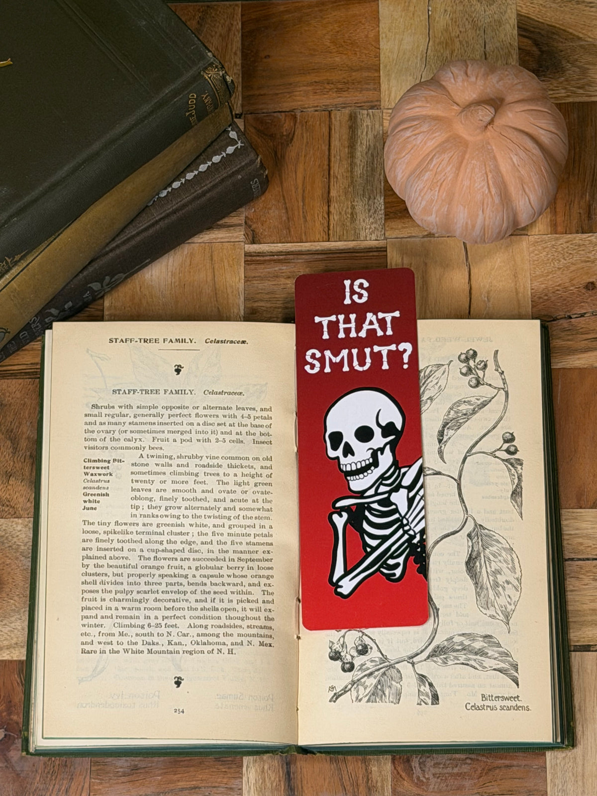 Is That Smut? Bookmark