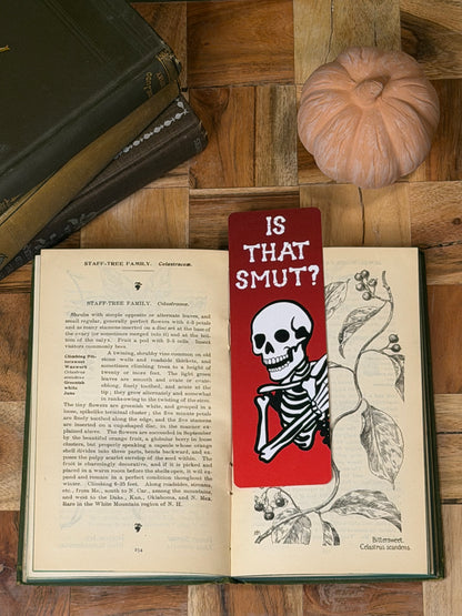 Is That Smut? Bookmark