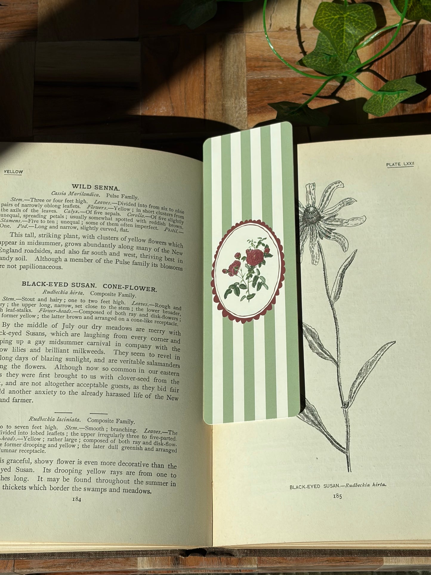 A green striped bookmark with a red round frame picturing red carnations in the center. The bookmark is sitting in an open book.