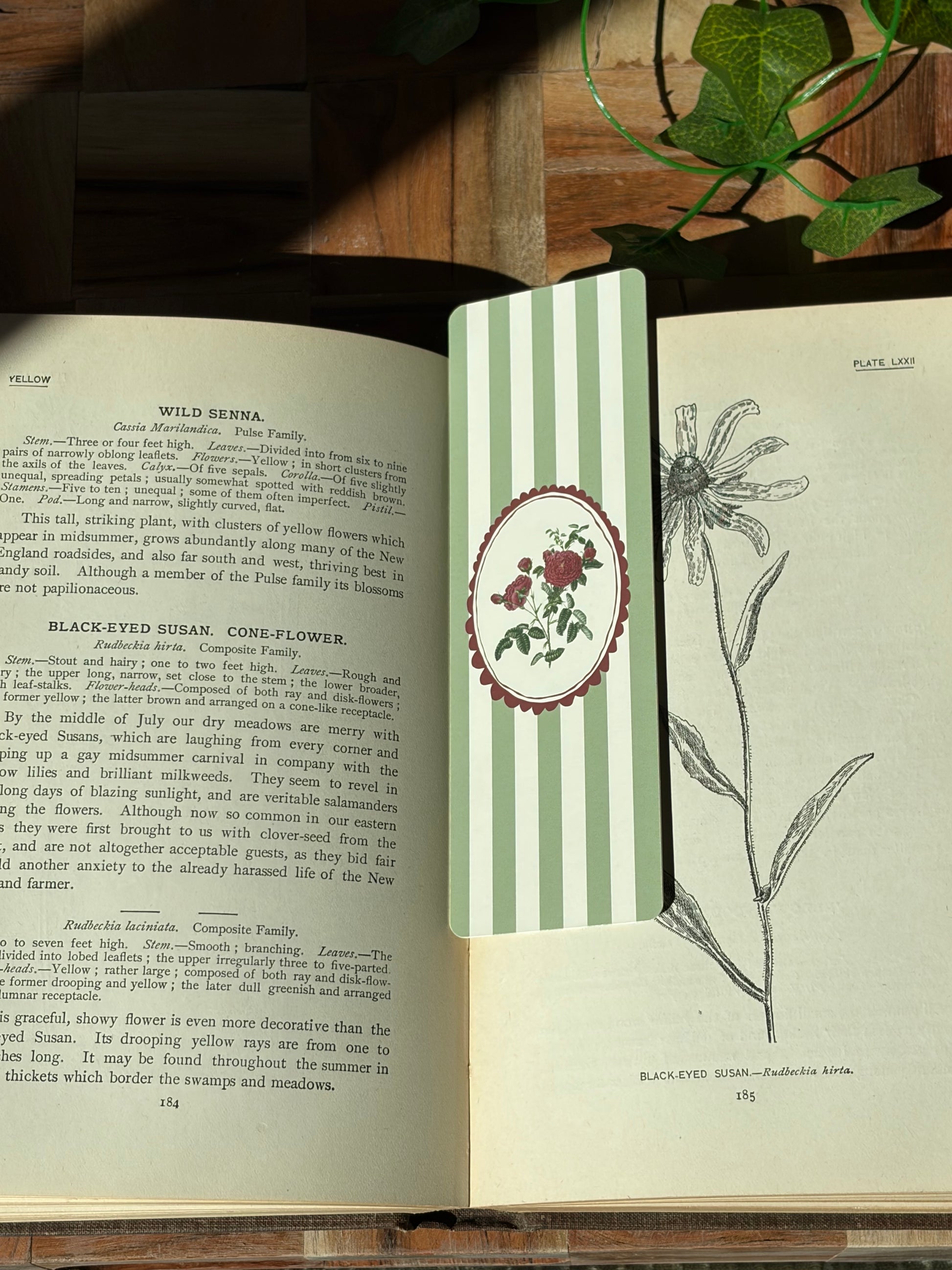 A green striped bookmark with a red round frame picturing red carnations in the center. The bookmark is sitting in an open book.