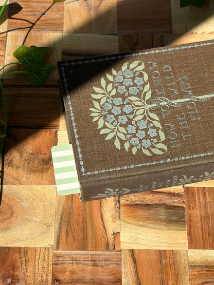 A green striped bookmark sticking out the top of a closed book. The book is sitting on a wooden background. 