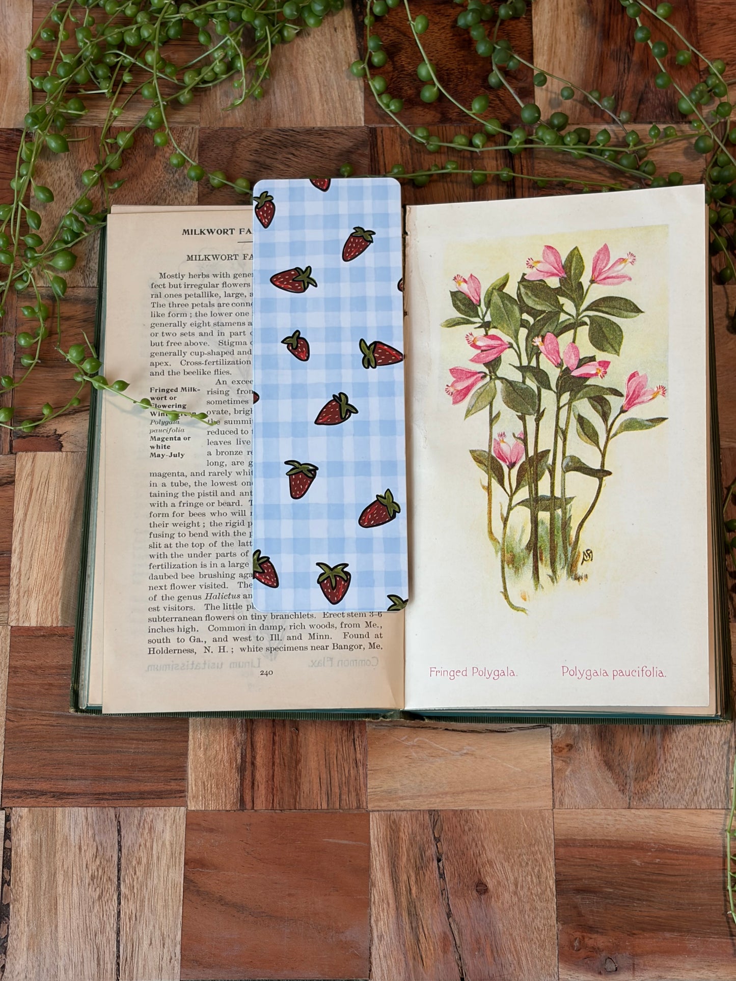 Strawberry Patch Bookmark