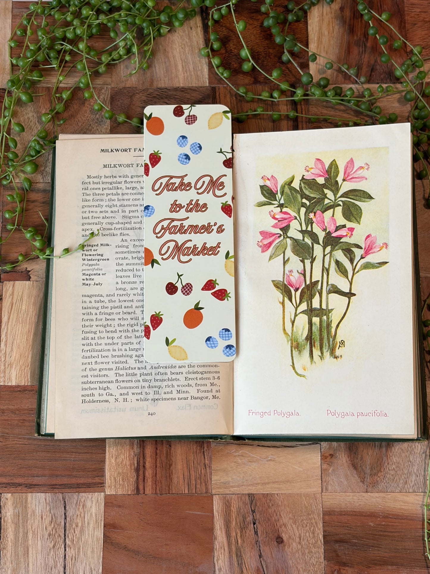 Take me to the Farmer's Market Bookmark