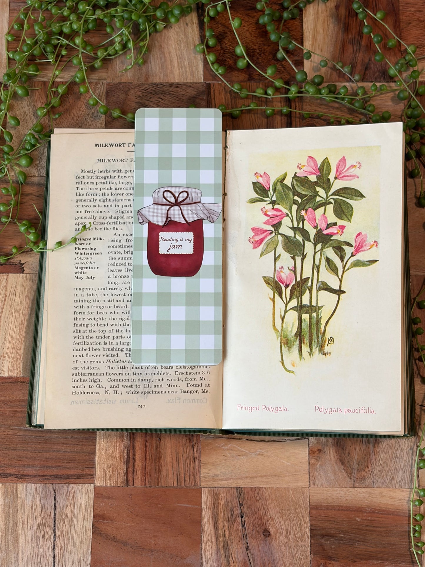 Reading is my Jam Bookmark