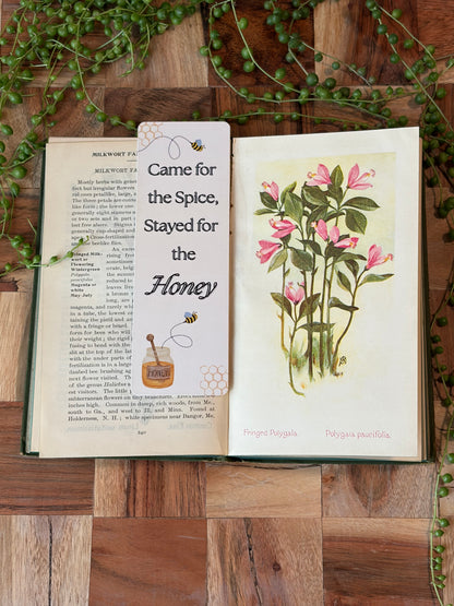 Stayed for the Spice Bookmark