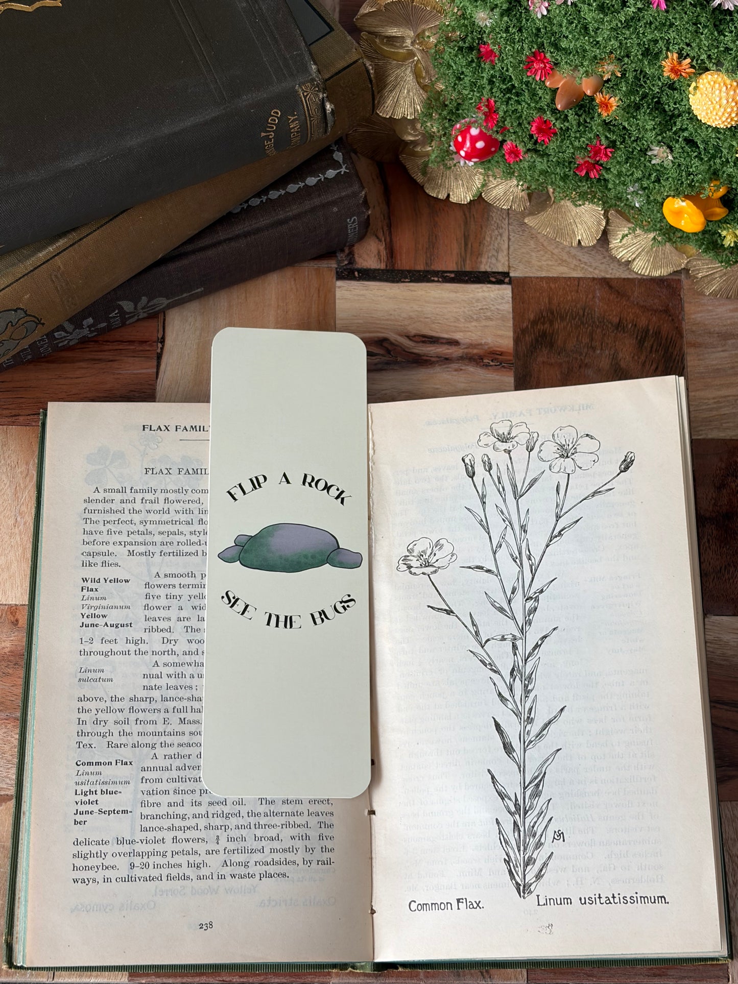 See the Bugs Bookmark
